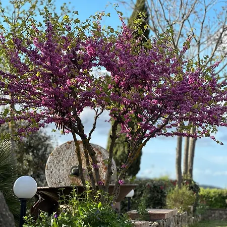 Bed & Breakfast Antico Borgo Il Cardino